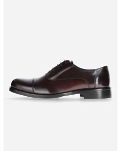 Zapatos Oxford Clasicos